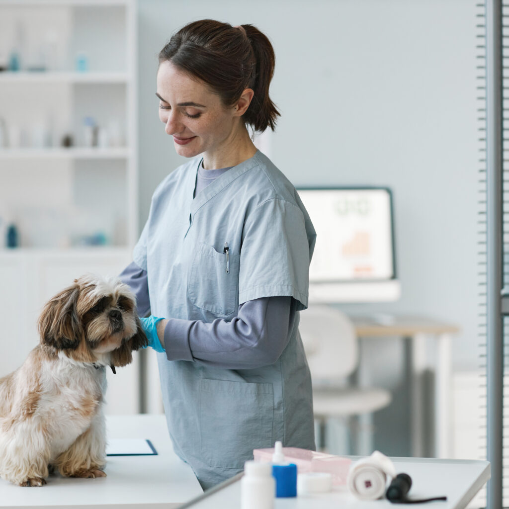 veterinarian examining clients dog